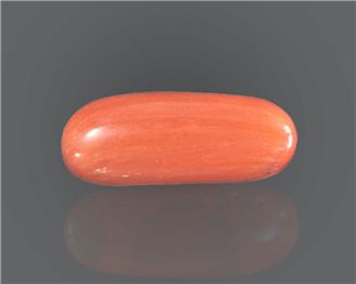 Natural Coral  7.93RTS-27472